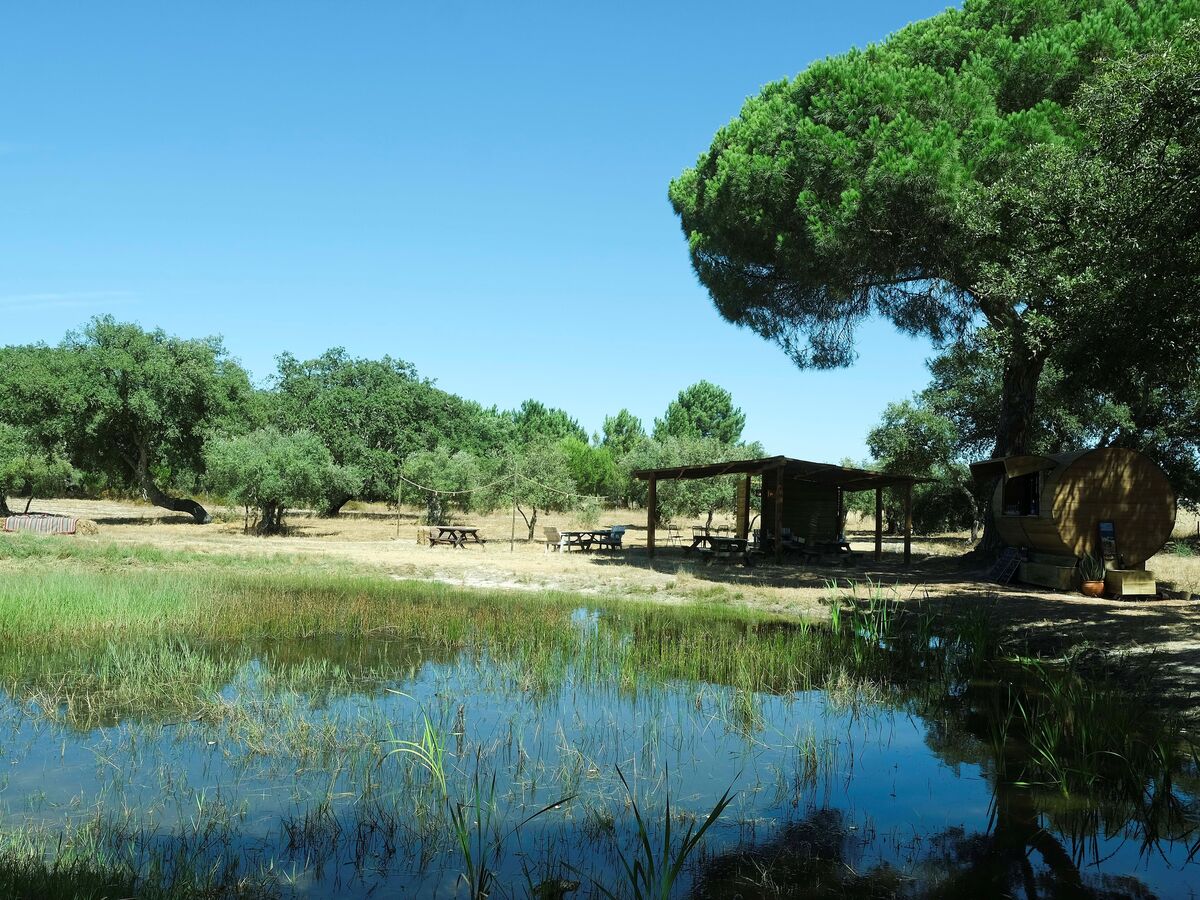 Melides: uma terra de comunhão com a natureza 