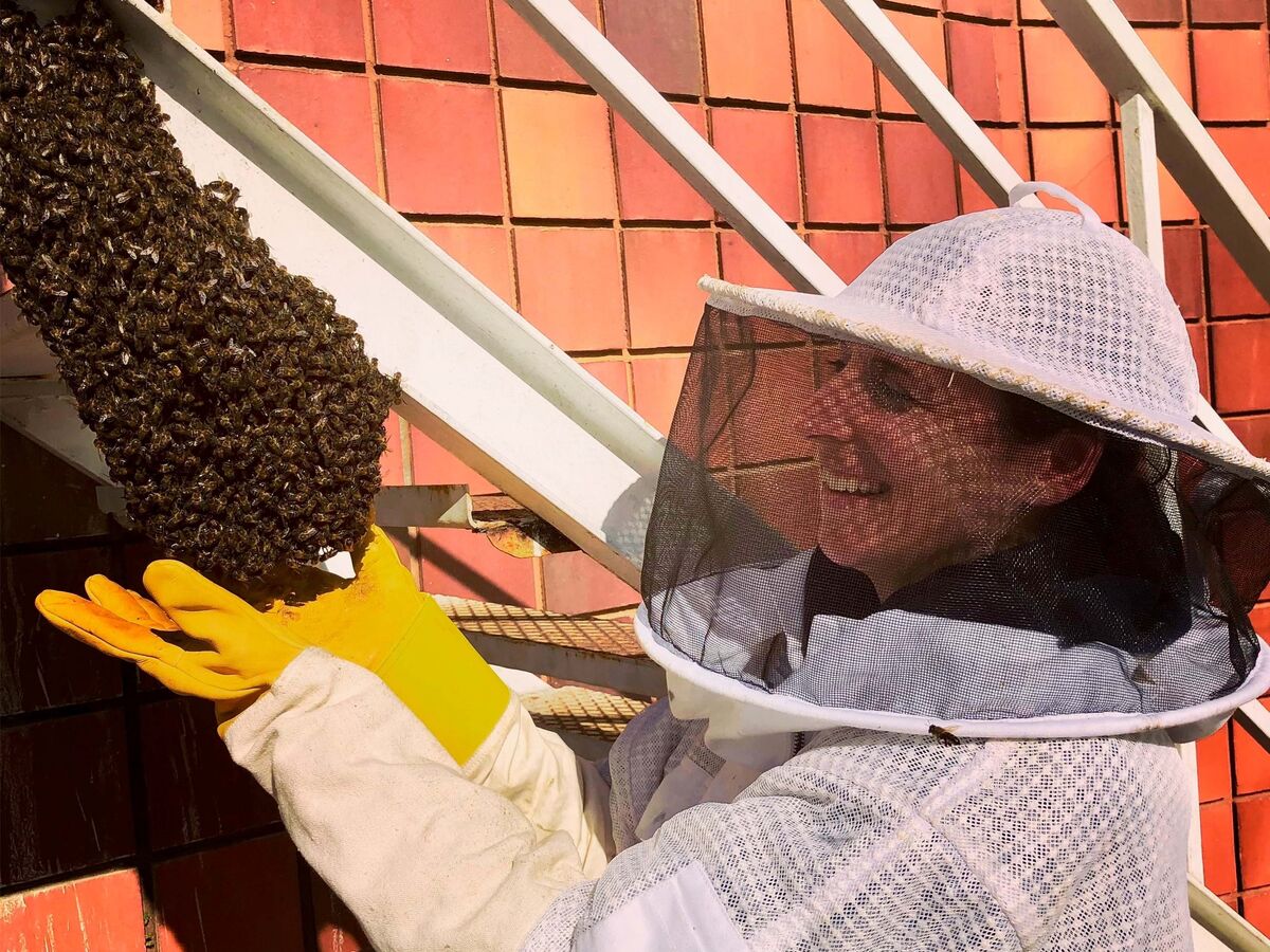 Joana resgata enxames de abelhas