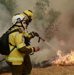 Incêndios: Detidas 36 pessoas em flagrante delito este ano 