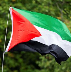 Câmara de Faro partilhou dados de manifestantes pró-Palestina