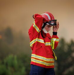 Incêndios: Dois incêndios em Vila Real mobilizam 10 meios áereos