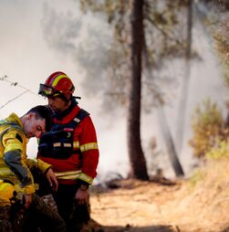 Incêndios: Fogo em Sabrosa com uma frente e 80% do perímetro dominado 