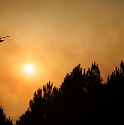 Incêndios: Mais de 90 fogos em Portugal combatidos por cerca de 1.980 operacionais pelas 14:30