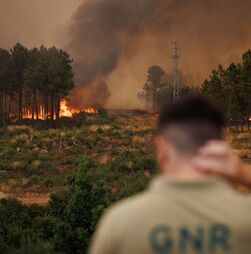 Incêndios: Cinco meios aéreos reforçam combate em Vila Real e Mondim de Basto