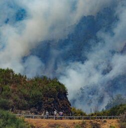 Incêndios: Mais de 7.500 hectares de área ardida no Parque Nacional da Peneda-Gerês 