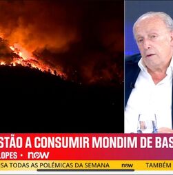 NOW sempre a crescer: Santana Lopes em horário nobre ultrapassa SIC Notícias e CNN