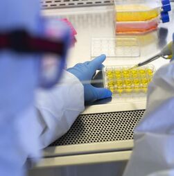 Infarmed aprovou financiamento público de 51 medicamentos inovadores no 1º semestre