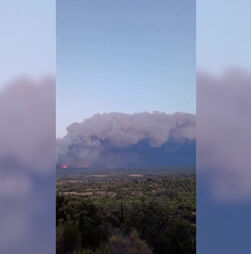 Incêndio em França mobiliza mais de mil bombeiros