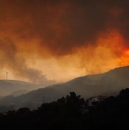 Incêndios: Cerca de 3.000 hectares de área ardida em Vila Real e Mondim de Basto