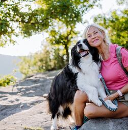 Chegaram os dias de férias e não sabe o que fazer com o seu pet? Temos três ideias 'fora da caixa' para si e para o seu amigo de quatro patas