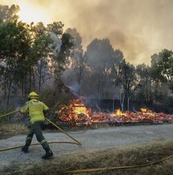 Quase 2.000 operacionais combatem chamas em Portugal continental