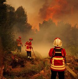 Cerca de 120 concelhos do interior Norte e Centro e Algarve em risco máximo de incêndio