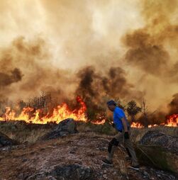 Incêndios: Governo prolonga estado de alerta até às 23:59 de sexta-feira 