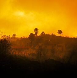 Dois mortos e mais de 5 mil pessoas retiradas de casa devido a incêndios em Espanha