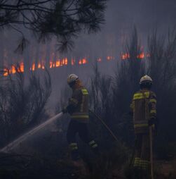 Fogo em Tabuaço dominado. Há quatro grandes incêndios que ainda preocupam