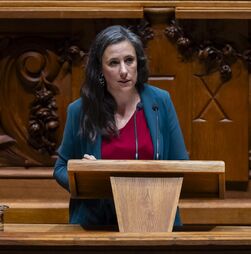 Livre questiona Montenegro sobre incumprimento da meta de limpeza de floresta