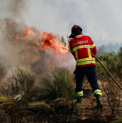 Incêndios: Canadairs entram em ação nos fogos do Sabugal que ameaçam aldeias