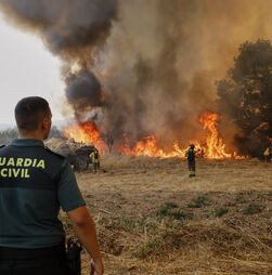 Incêndios: 343 mil hectares ardidos em Espanha, um recorde anual no país