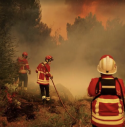 Mais de 2.300 operacionais nos fogos em Arganil, Sabugal, Mirandela e Montalegre