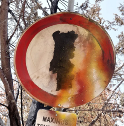 Bordalo II volta a criticar o Governo...desta vez sobre o combate aos incêndios