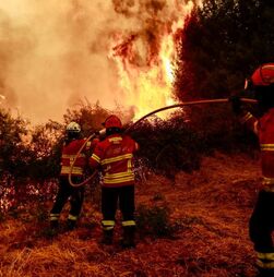 Fogo no Fundão com origem em Arganil entrou em Castelo Branco