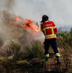 Incêndio no Sabugal provoca cinco feridos. Um deles está em estado grave