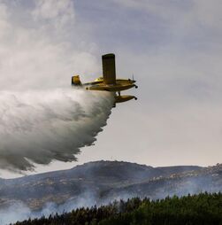 Aviões suecos atuaram todo o dia na zona do Sabugal 