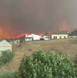 Ambientalista alerta para perigos da poluição causada pelos incêndios