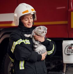 Em época de incêndios, saiba como manter os seus animais seguros