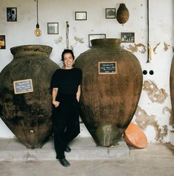 Catarina Vieira: “Quando eu tinha 27 anos quem  é que não bebia? 
Os totós, não é?”