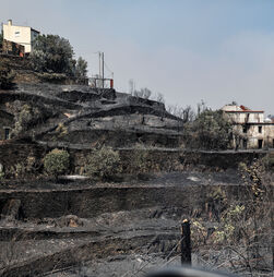 Incêndios destroem uma dezena de casas de primeira habitação na região Centro