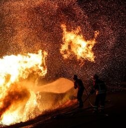Fogo e cinzas: as imagens de um país fustigado pelos incêndios