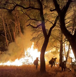 Bombeiros combatem incêndios florestais na Califórnia