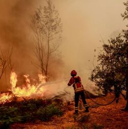 Incêndio que começou em Arganil apresenta a maior área ardida de sempre em Portugal 