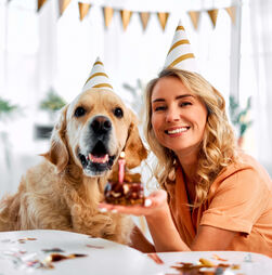 Hoje é o Dia Mundial do Cão: três ideias memoráveis para celebrar esta data tão especial com o seu patudo
