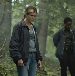 'Task': uma série policial à 'Mare of Easttown'
