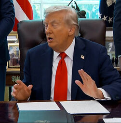 “Quando se queima a bandeira, incita-se a motins”: Trump propõe prisão para quem queimar bandeira dos EUA