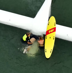 Imagens mostram piloto a ser resgatado após aterragem de emergência no mar 