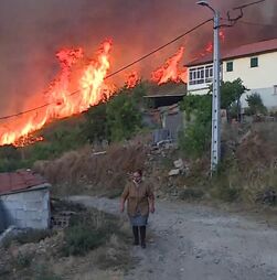 Incêndio de Vinhais não dá tréguas aos mais de 300 operacionais no terreno