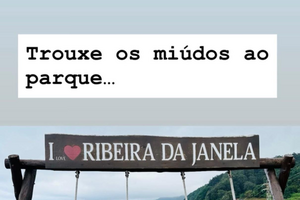 Hugo Soares leva os secretário-gerais adjuntos do PSD ao baloiço na Ribeira da Janela