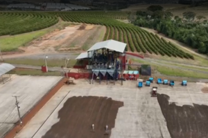 Brasil procura alternativas face a tarifas de importação de café pelos EUA