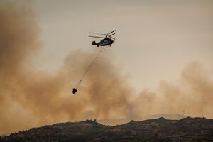 Incêndios de Vila Real e Celorico de Basto mobilizam 800 operacionais