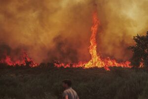 Tornado de fogo surge em Moimenta da Beira, Viseu, complicando combate aos incêndios