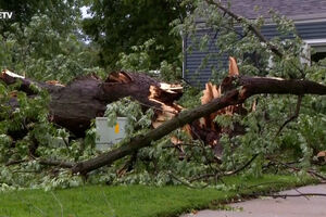 Tempestade violenta no Nebraska causa um morto, arrasta árvores e destrói habitações 