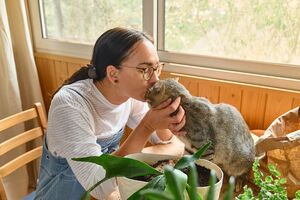 Mulher beija gato perto de plantas e janela