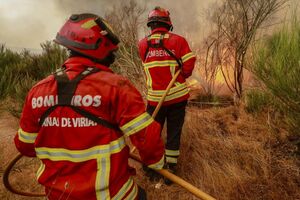 Operacionais combatem incêndios em Tabuaço, Covilhã, Trancoso e Vila Real