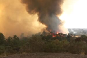 Imagens mostram incêndio de grandes dimensões a lavrar em Trancoso  