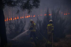 Bombeiros combatem incêndio em Figueira de Castelo Rodrigo, que alastrou a Almeida e Pinhel