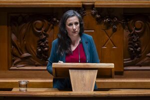 Isabel Mendes Lopes questiona Montenegro sobre limpeza de floresta
