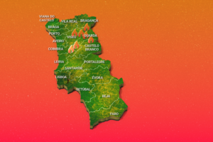 Chamas não dão tréguas: Este é o ponto de situação dos incêndios em Portugal